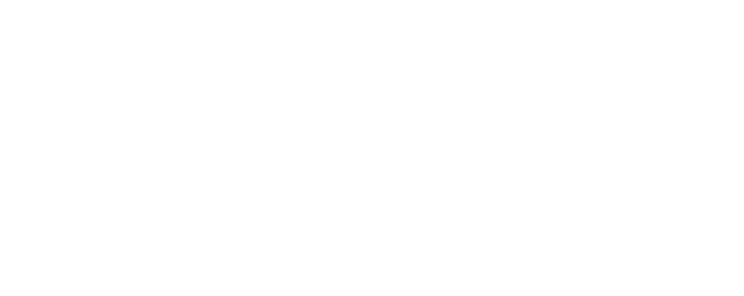 Local Circuit.